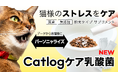 Catlog®、猫様のストレスをケアするために、Catlogデータから各猫様にパーソニャライズされた特許出願中の乳酸菌サプリメント『Catlogケア乳酸菌』を販売開始!