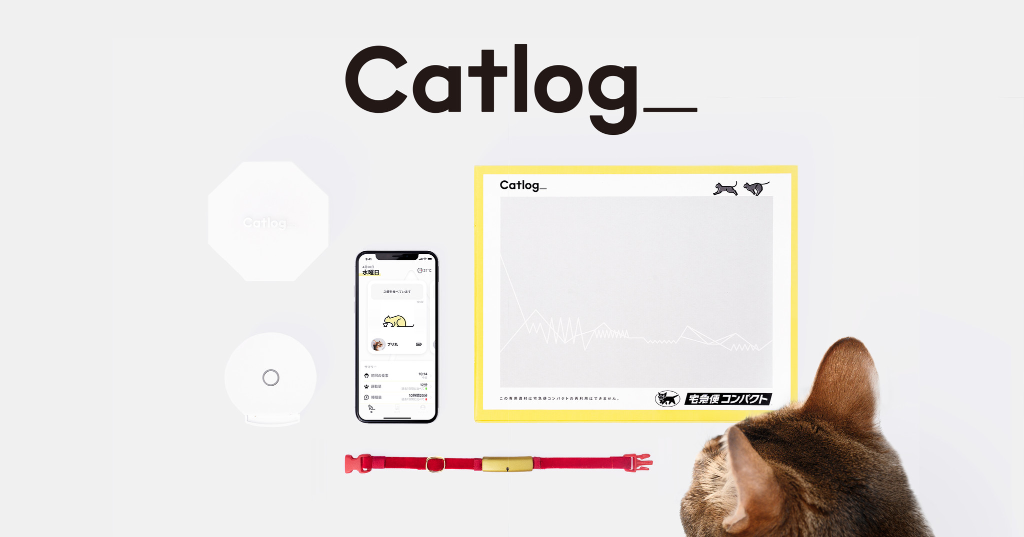 猫の生活をテクノロジーで見守る Catlog キャトログ が ローンチ 一般販売を開始 クロネコヤマトとのコラボも発表 Rabo Inc のプレスリリース