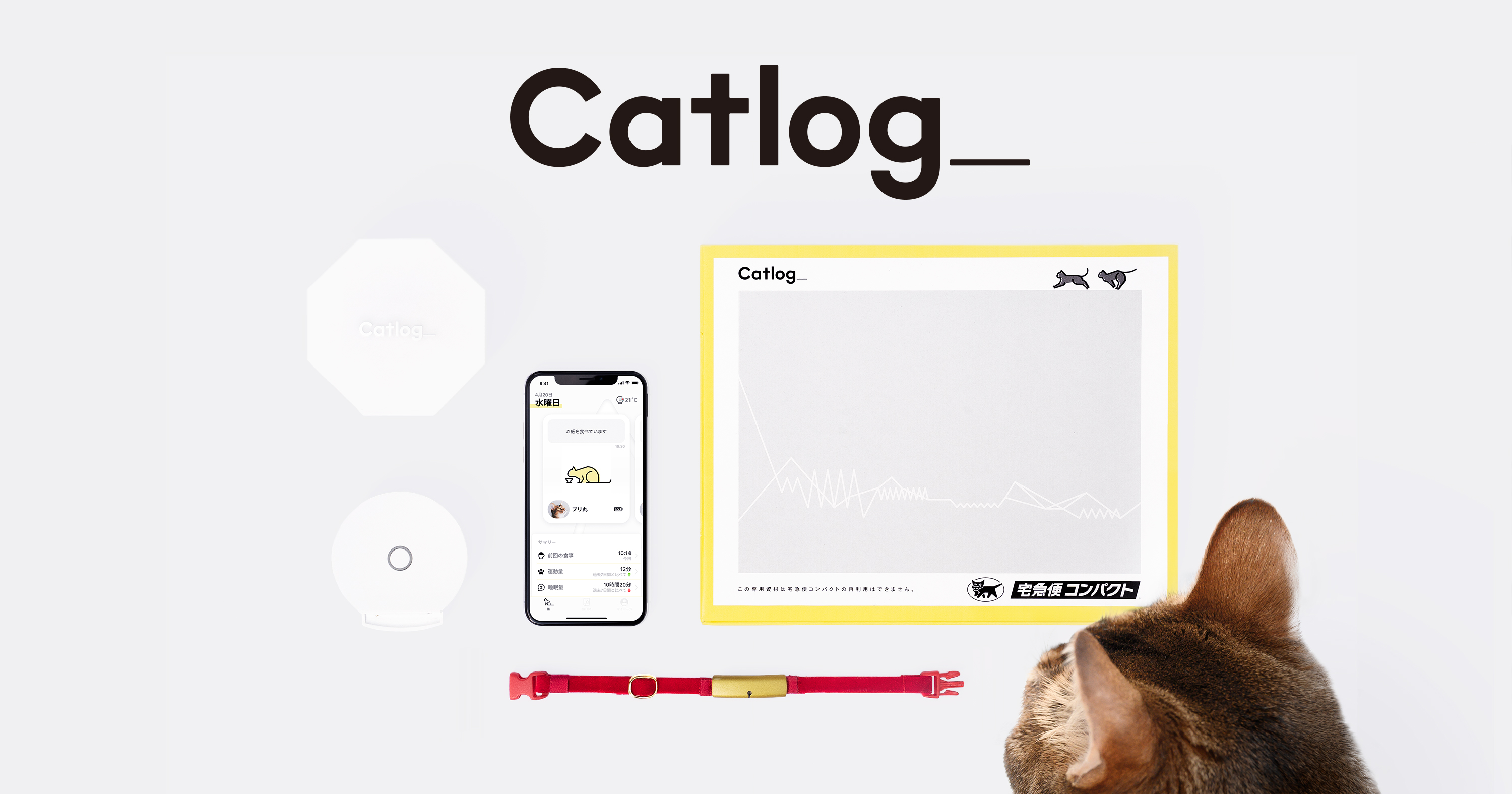 猫の生活をテクノロジーで見守る Catlog キャトログ が ローンチ