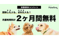 ”犬専用”首輪型ヘルスモニター『Pawlinq™（パウリンク）』、月額利用料が2ヶ月間無料になる招待キャンペーンを7月31日より実施