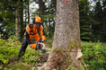 林業プロ待望の最新チェンソー「STIHL MS 400 C-M」遂に、日本上陸