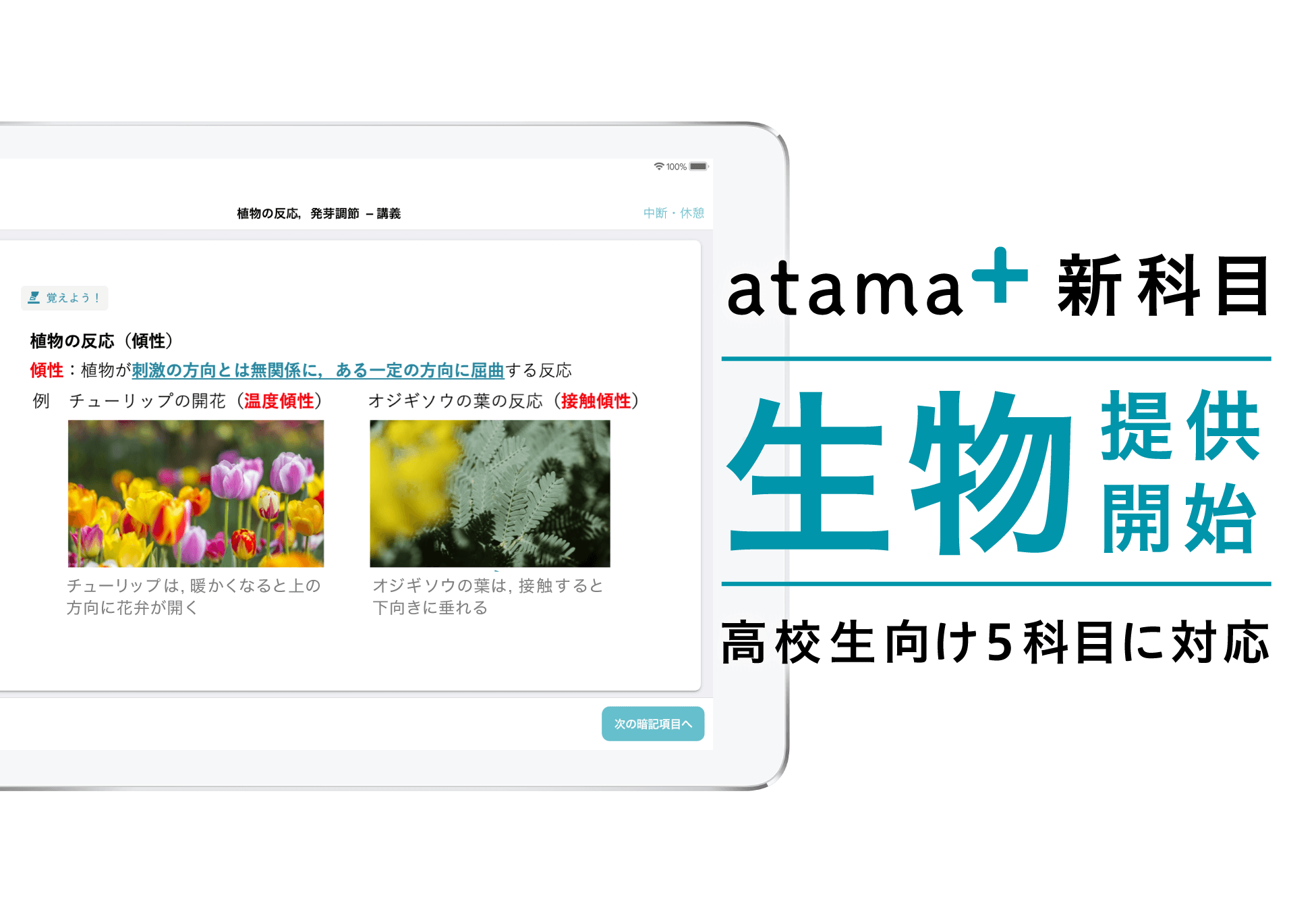 Ai先生 Atama 高校生向け 生物 の提供開始 Atama Plus株式会社のプレスリリース