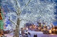 【ブランドUSA】2025年度のホリデーシーズンを彩る多彩なイベントが、アメリカ各地で11月以降に開催