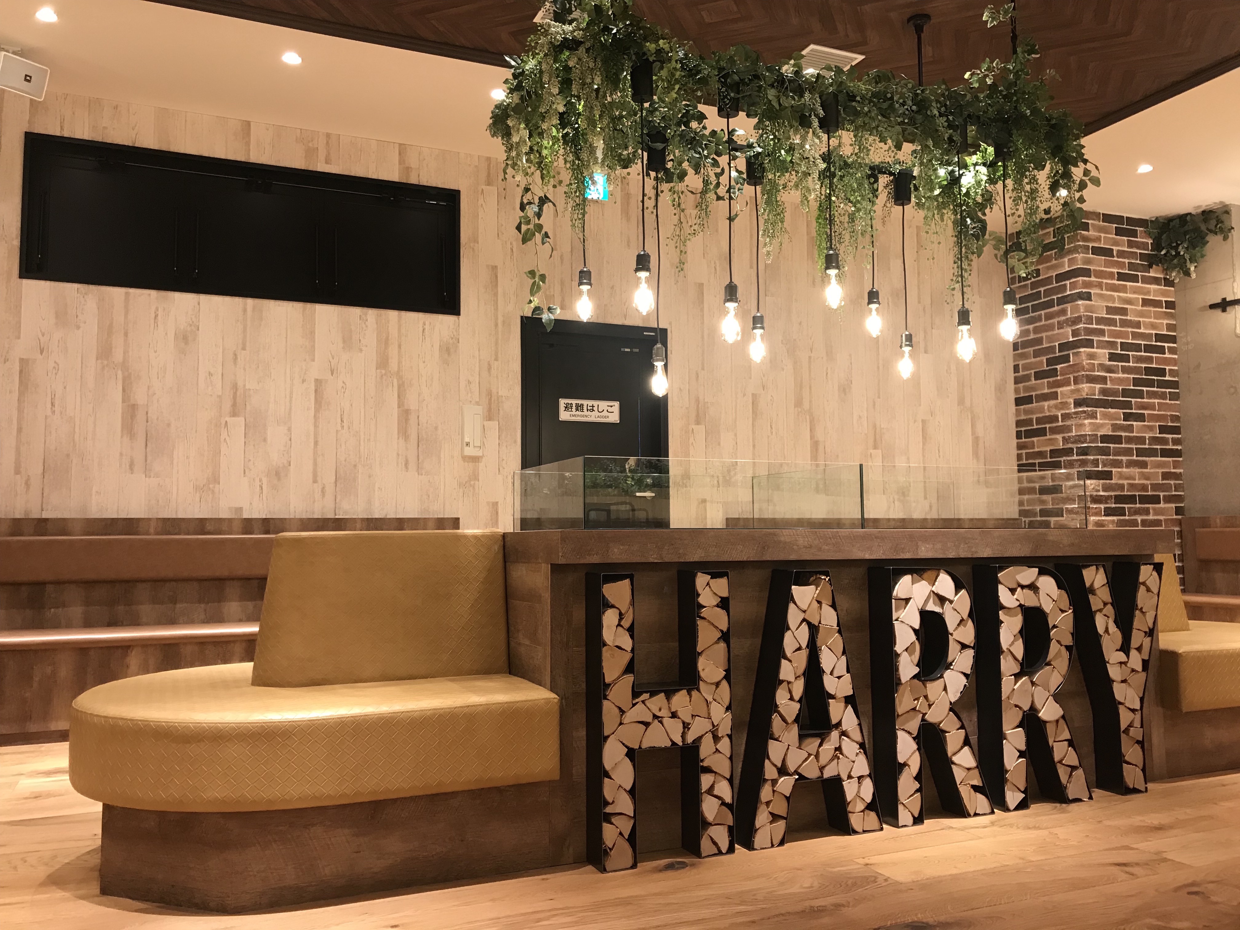 世界初のハリネズミカフェで有名なHARRYが待望の横浜に動物カフェを新OPEN ！！｜合同会社MS.BUNNYのプレスリリース