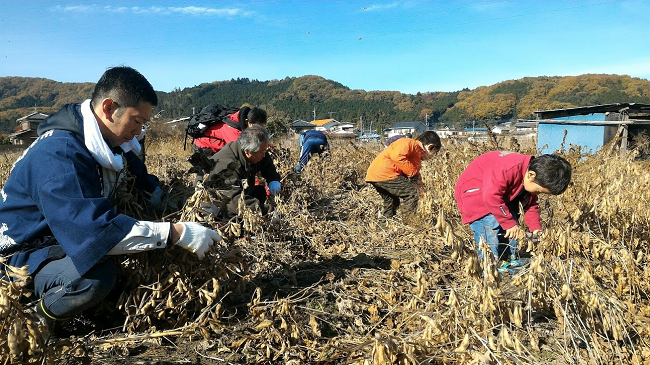 横田農場（小川町）