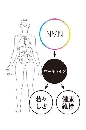国産NMN高配合サプリが吸収効率6倍になってパワーアップ！日本発NMN
