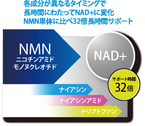 国産NMN高配合サプリが吸収効率6倍になってパワーアップ！日本発NMN