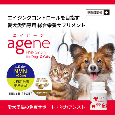 犬猫専用nmn配合の総合栄養サプリメント Agene 新発売 愛犬愛猫の若々しい魅力維持に不可欠な能力アシスト 健康寿命に配慮した免疫をサポート 株式会社ノルデステのプレスリリース