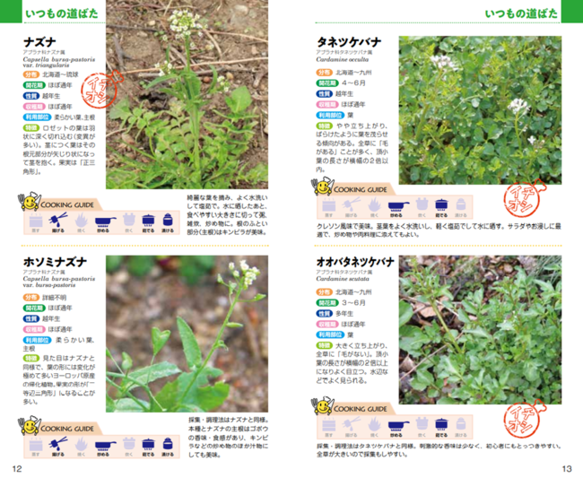 道ばたの雑草の美味しい食べ方がわかる一冊 食べられる草ハンドブック 発売 株式会社自由国民社のプレスリリース