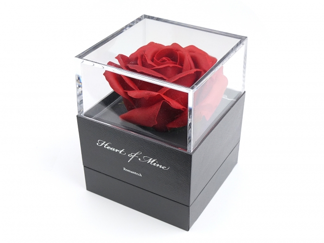 プレゼント用ジュエリーボックス「Romantech Jewelry Box」（ロマンテック ジュエリーボックス）の販売を開始  ｜株式会社ロマンテックジャパンのプレスリリース