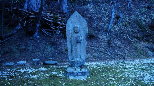 金剛峯寺裏山にひっそりと佇む地蔵