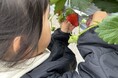 【ツアー発売】特急あそぼーい!で行く いちご狩り&あそ日帰り旅