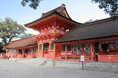 宇佐神宮御鎮座1300年を記念して、「特急 かわせみ やませみ」を特別運行! 大分北部満喫のたび、予約受付中!