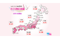 2026年第三回「さくら開花予想」ウェザーマップ発表 西日本は平年並み、東日本はやや早め、北日本では早い開花の予想 全国で最初の開花は東京で3月20日頃