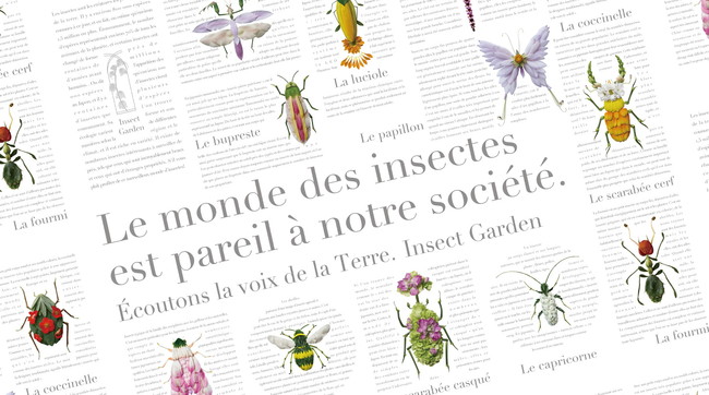 香川照之プロデュースinsect Marketより 草花と昆虫のエシカルブランド Insect Garden インセクトガーデン 本販売スタート アランチヲネ株式会社のプレスリリース