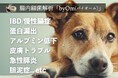 犬猫の腸内フローラ検査「byOm(バイオーム)」、動物病院用プランを提供開始。検査項目のカスタマイズに対応。