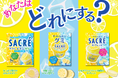 夏にぴったりの爽快感!「サクレレモン」の味わいを再現したグミ・タブレット・ゼリーが2025年3月より新パッケージに随時切り替え!