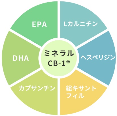 ミトコプラス