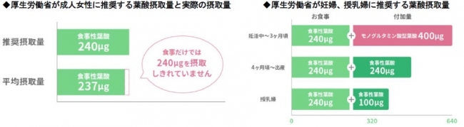 厚生労働省が推奨する葉酸摂取量