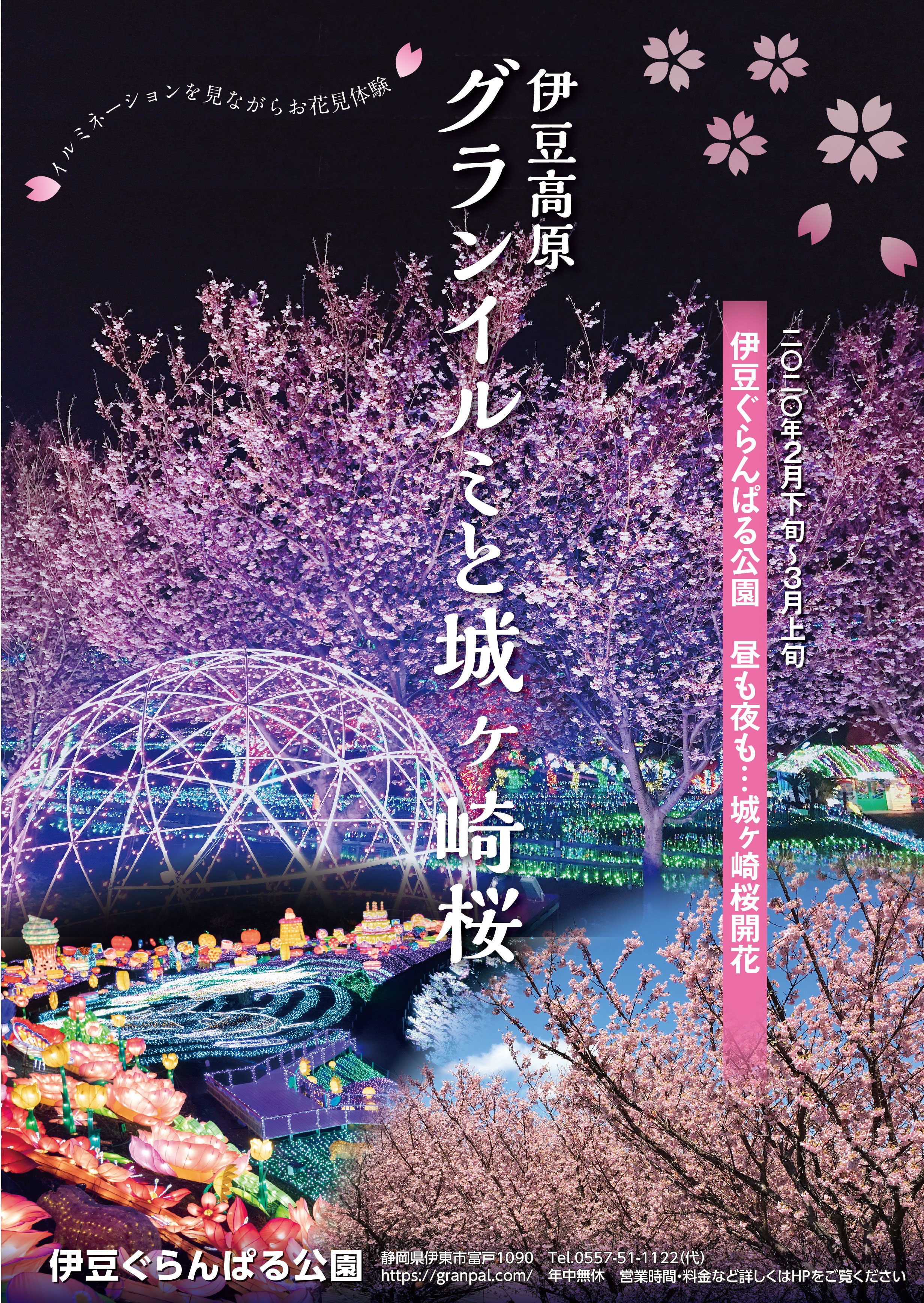 伊豆ぐらんぱる公園 城ケ崎桜 の開花が始まる 株式会社伊豆シャボテン公園のプレスリリース