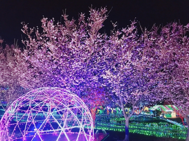 伊豆高原グランイルミ2019年3月撮影