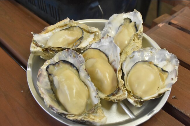 広島県江田島から産地直送 広島県江田島から産地直送