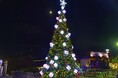 伊豆高原グランイルミ ~10th Anniversary~巨大クリスマスツリーが登場!「クリスマスツリーの日」 記念キャンペーンを開催