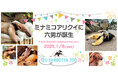 伊豆シャボテン動物公園でミナミコアリクイの赤ちゃんが誕生!