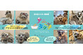 屋内型ふれあい動物園「アニタッチ」でミーアキャットとワオキツネザルの赤ちゃんが誕生!