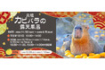 伊豆の冬の風物詩!伊豆シャボテン動物公園で「元祖カピバラの露天風呂」が2025年11月22日(土)にスタート! 2026年4月5日(日)まで開催