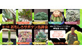 滅多に一般公開されない秘蔵の植物と珍奇なサボテン10株を展示！ 「第13回おもしろサボテン品評会」開催 ～お気に入りのサボテンを選んで投票しよう♪～