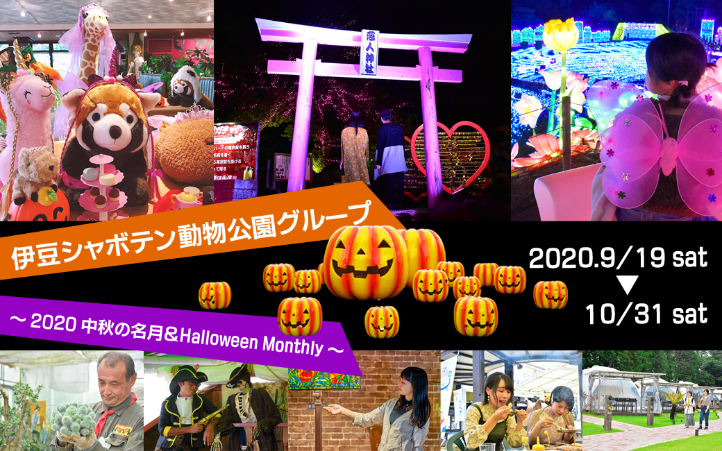 伊豆シャボテン動物公園グループ 中秋の名月 Halloween Monthly 中秋の名月 Halloween 雅 Miyabi ナイト 株式会社伊豆シャボテン公園のプレスリリース