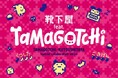 Tamagotchi × 靴下屋が初のコラボレーション