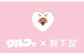 メ~テレのキャラクター「ウルフィ」×靴下屋のコラボ靴下、「ドデ祭2025」で先行販売