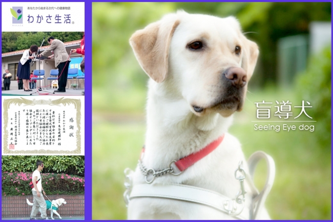 盲導犬育成支援寄付累計額3,000万円！関西盲導犬協会より感謝状授与！