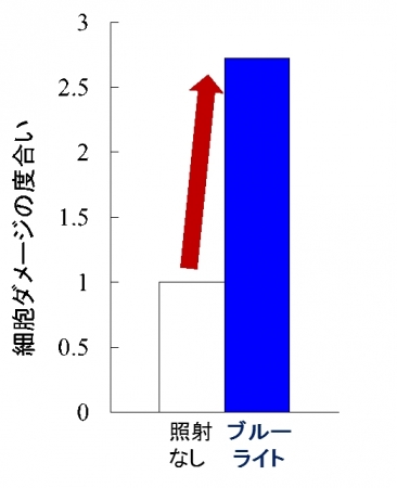 (図２)網膜細胞ダメージが上昇する