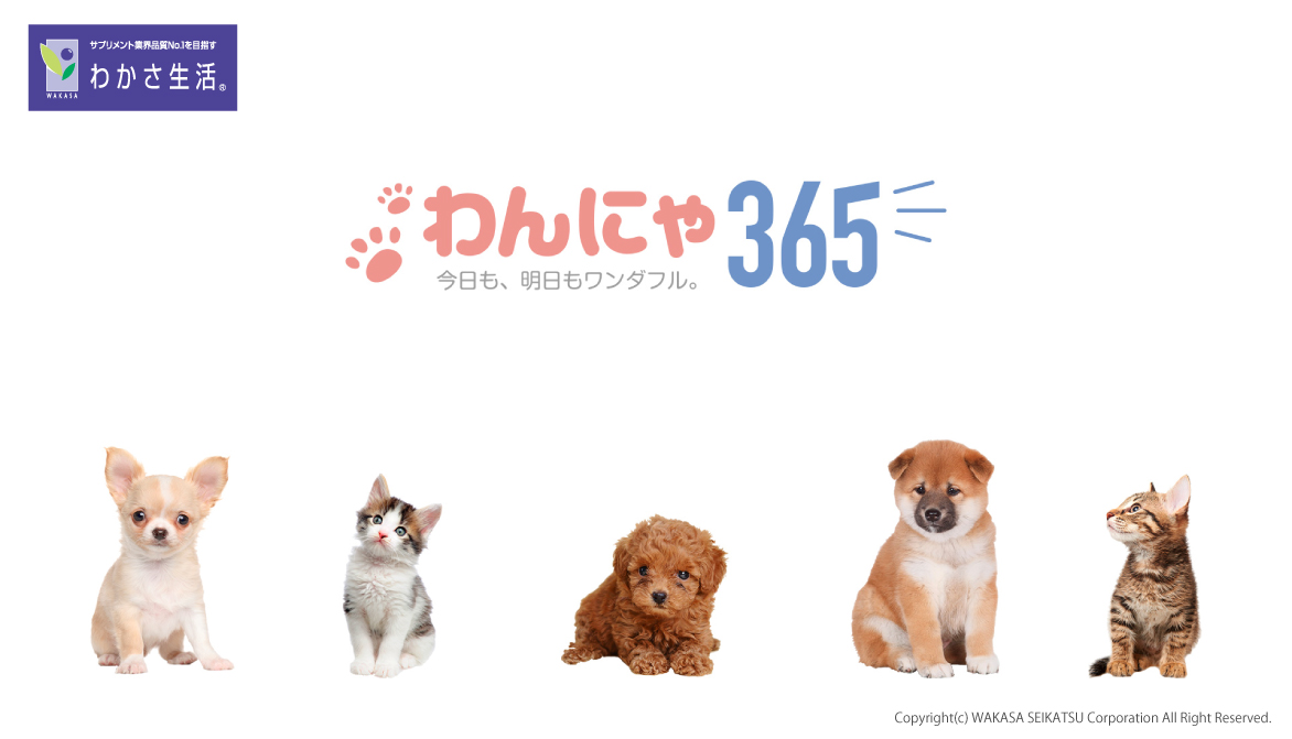 365日使える ペットを愛する飼い主さまのためのお役立ち情報サイト わんにゃ365 がオープン 株式会社 わかさ生活のプレスリリース