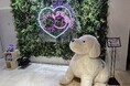 【4月最終水曜日は国際盲導犬の日】わかさ生活の盲導犬育成支援は23年目を迎えました