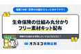 約6割が「内容を充分に理解せず契約」している生命保険、分かりにくさ”を解消するため「生命保険の仕組み 丸分かりフリー素材キット」の無料配布開始