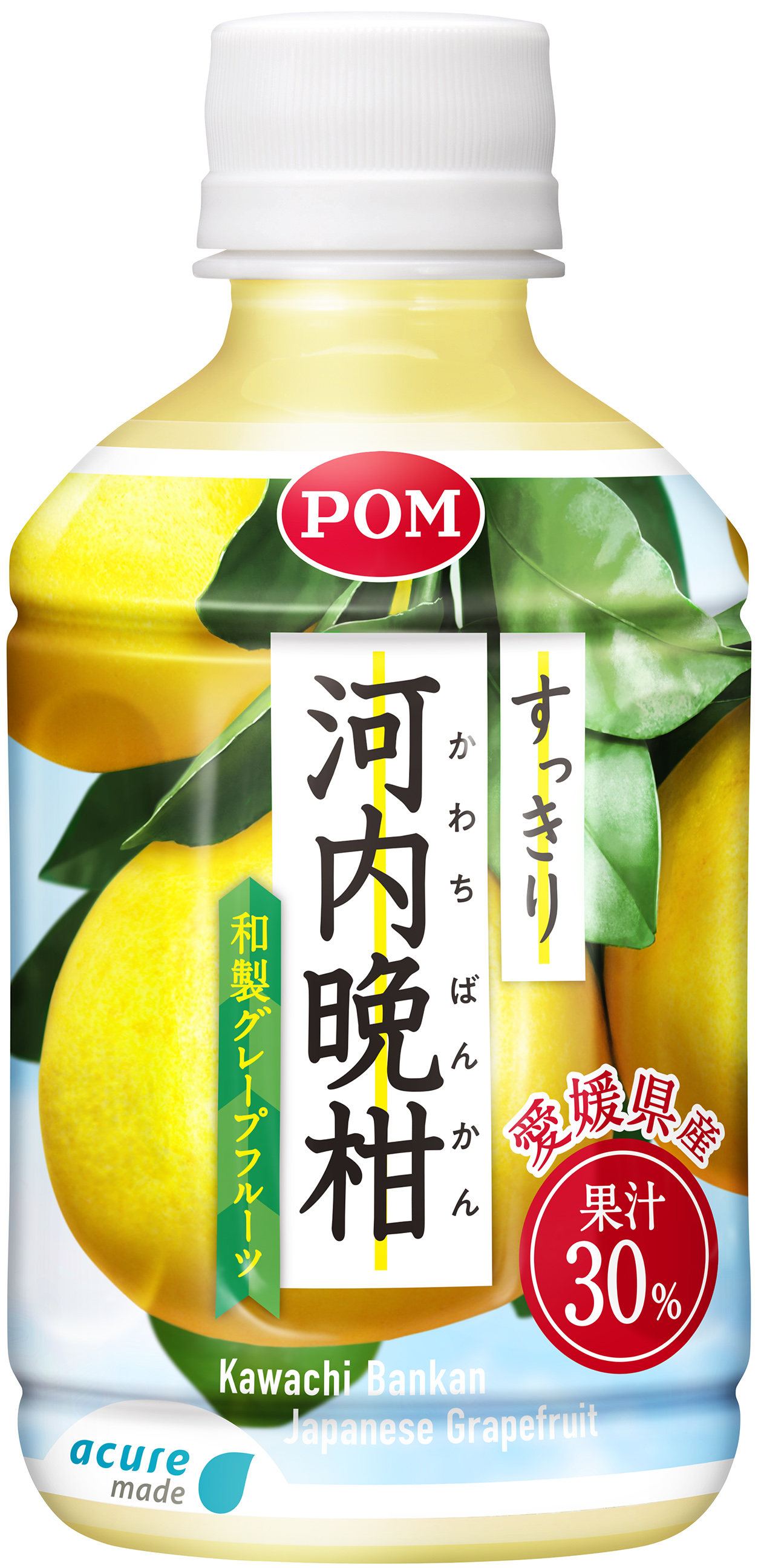 河内晩柑詰め合わせセット 愛媛県産 もぎたてジュース-