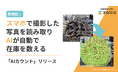 AIが在庫を自動で数える「AIカウント」ZAICOが提供開始。目視によるミスを防ぎ、棚卸の負担を軽減