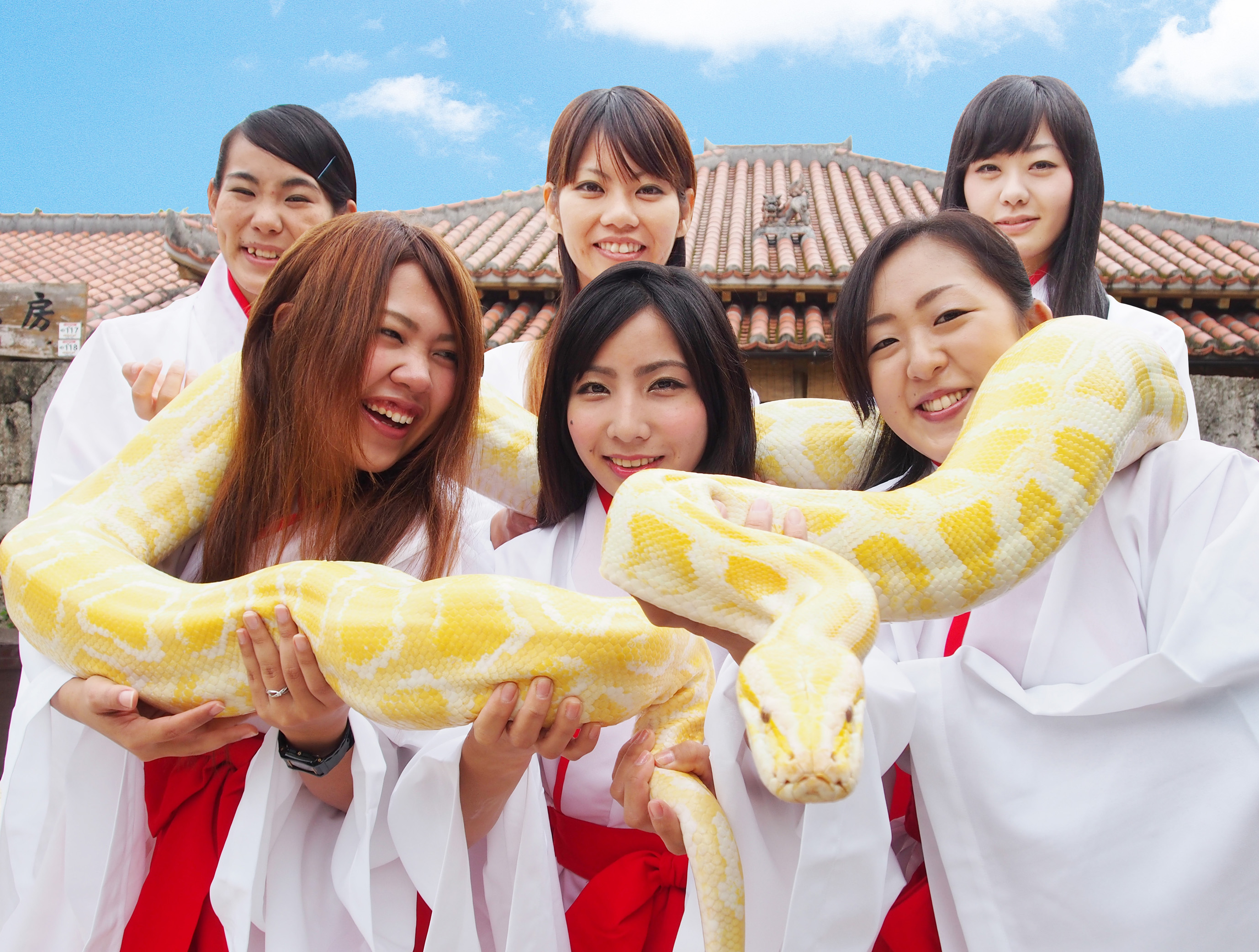 沖縄 ヘビ と 写真
