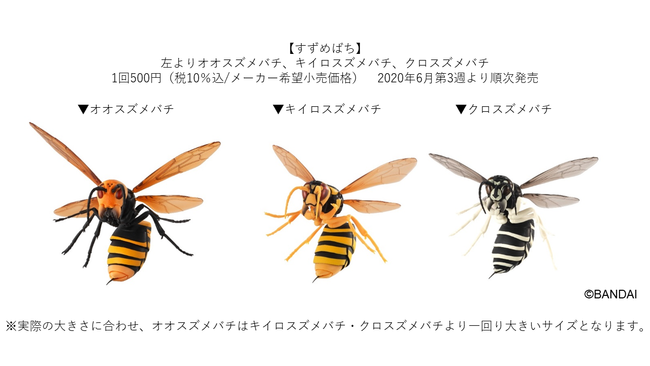 全幅約0mm 昆虫界最強の蜂がカプセル玩具に登場 すずめばち 株式会社バンダイのプレスリリース