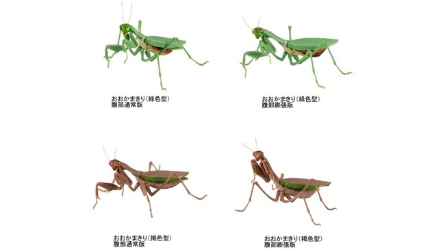 ガシャポン いきもの大図鑑シリーズ 累計販売数500万個達成 かまきり すずめばち02 かめ03 年11月中旬より順次発売 株式会社バンダイのプレスリリース