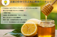 【スーパーホテル × TBS赤坂みつばちプロジェクト】TBS育ちのミツバチたちからの贈り物!スーパーホテルPremier赤坂の朝食で天然はちみつを提供