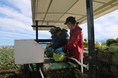 YUIMEを活用した富山県、農業分野の作業受託・人材育成サービスの導入検証を実施