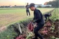 アフリカのマダガスカルから初の農業人材受入開始