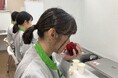 アメリカ油化学会から7年連続で「オリーブオイル官能評価パネル」認定