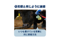 U-motion®イヤタグセンサー、繁殖牛への対応を開始