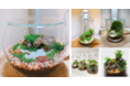マルイ2店舗で苔テラリウムのポップアップショップ「Terrariums（テラリウムス）」を開催中！12月19日（日）よりマルイシティ横浜でもオープン。